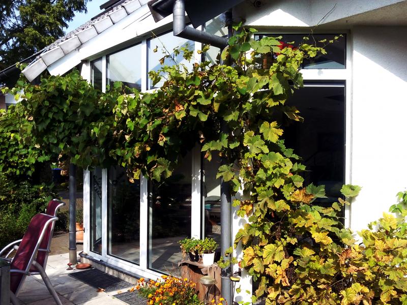 garten 2