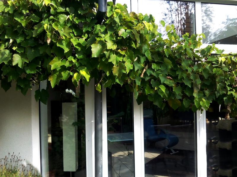 garten 3